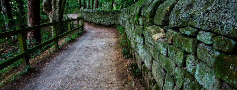 A quiet woodland path curving gently into the trees, bordered by a moss-covered stone wall and a timber fence.